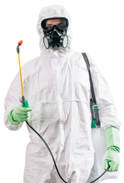 Affordable Pest Control