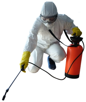 Reliable Pest Control